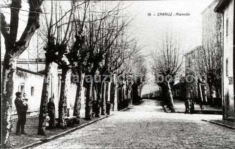 Zarautz: zumarkalea