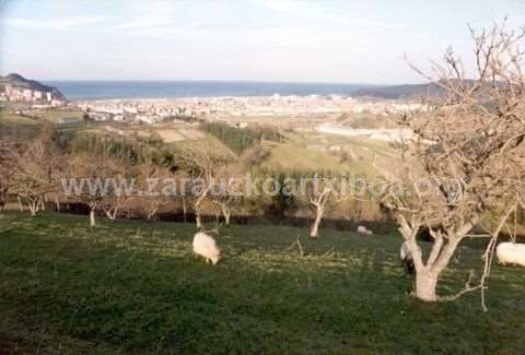 Zarautz: ikuspegia