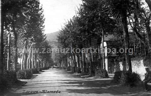 Zarautz: zumardia