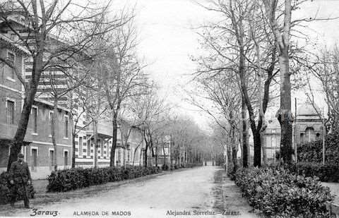 Zarautz: Madoz zumarkalea