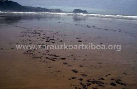 Txapapotea Zarauzko hondartzan