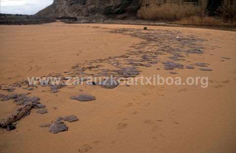 Txapapotea Zarauzko hondartzan