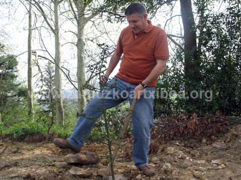 Día del Arbol