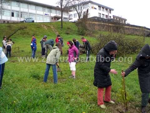 Día del Arbol