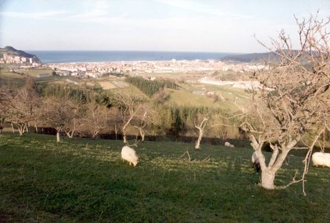 Zarautz: ikuspegia