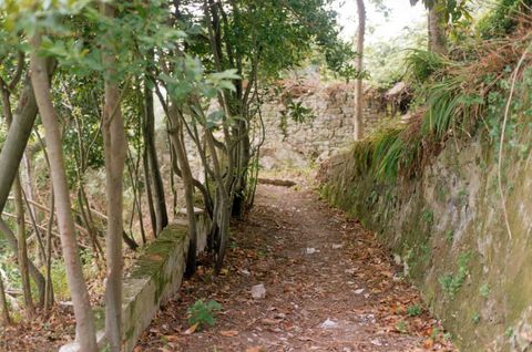 Zarautz: landa-eremua