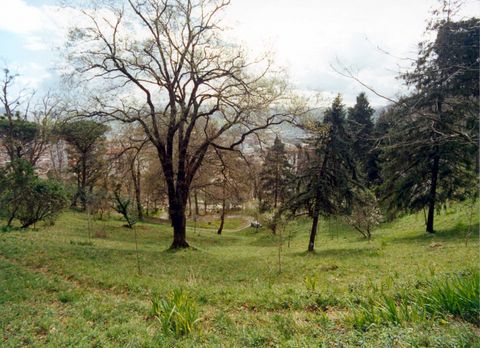 Vista Alegre auzoko torreoia