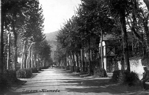 Zarautz: zumardia