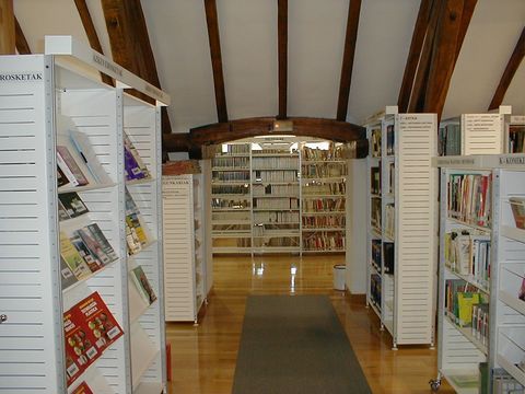 Udal-liburutegiak