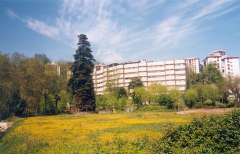 Monte Albertia