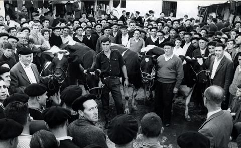 Udal Aurrezki Kutxaren aurrezte-sariak. Behien zozketa Zarautzen