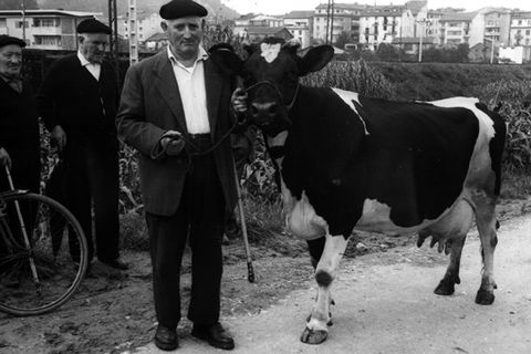 Aurrezte-sariak. Behien zozketa Zarautzen