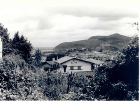 Zarautzen bista panoramikoa, Elkanotik.