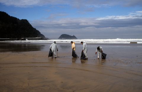 Txapapote en la playa de Zarautz