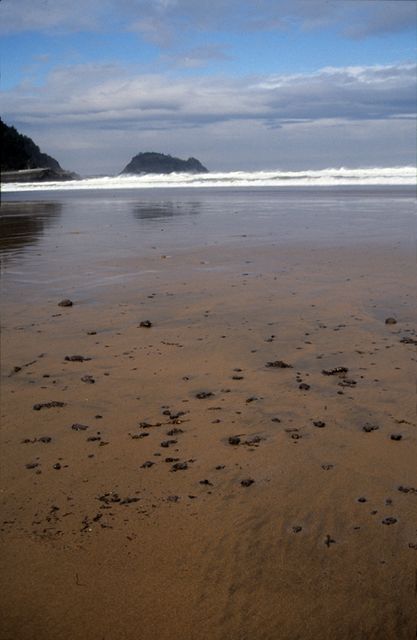 Txapapotea Zarauzko hondartzan