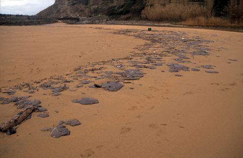 Txapapote en la playa de Zarautz