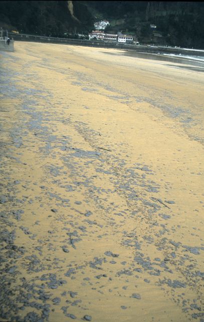 Txapapote en la playa de Zarautz