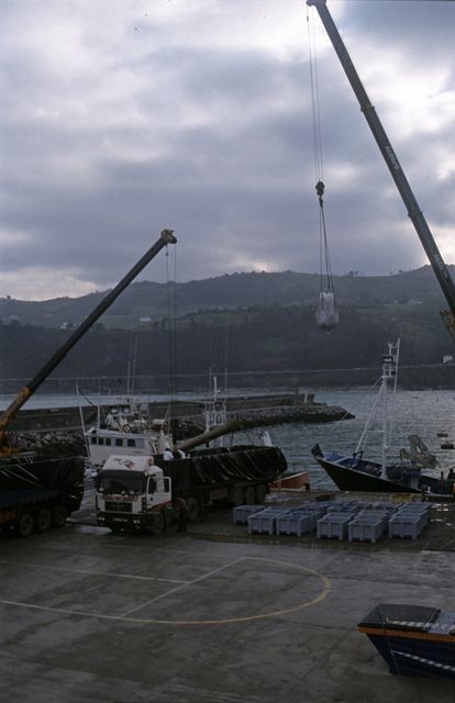 Txapapote en la costa de Zarautz