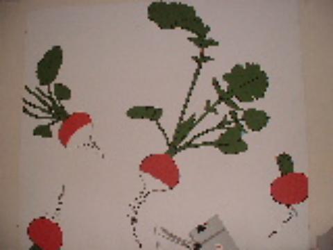 Izenbururik gabea