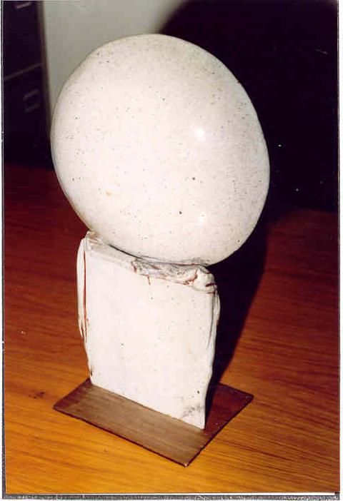 Izenbururik gabea