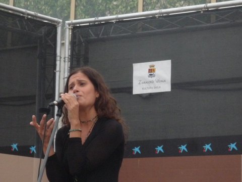 DIVERSONS 2009