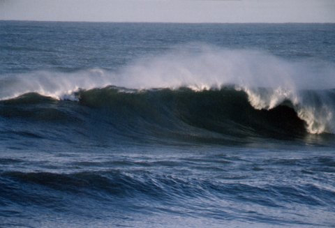 Historia del surf en Zarautz