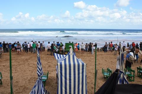 Ballena aparecida en la playa