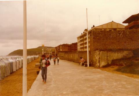 Itsas pasealekua