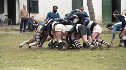 Torneo de Rugby