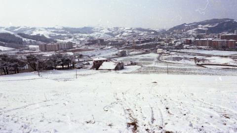 Zarautz elurtuta