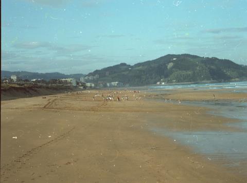 Zarauzko hondartzako panoramika.