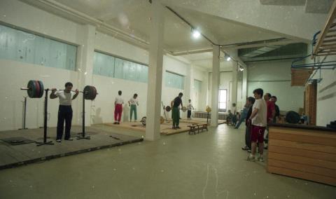 Gimnasioa