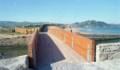 Zubia